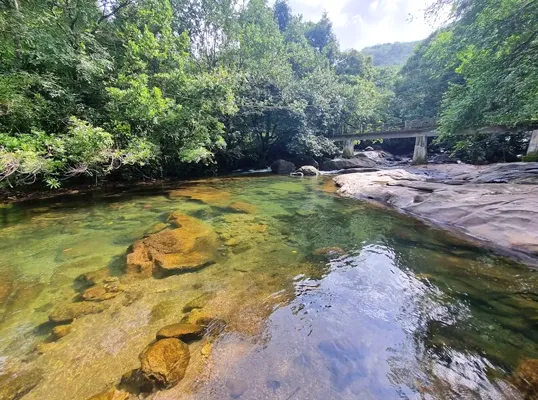 Things to Do